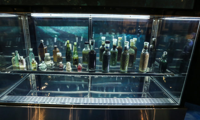 Exclusive Preserved Food Display